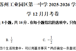 江苏省苏州市苏州工业园区第一中学2025-2026学年七年级上学期数学12月月考卷（含解析）