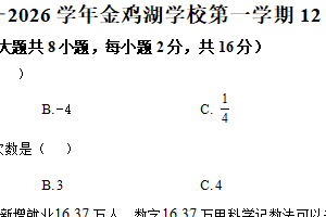 江苏省苏州市苏州工业园区金鸡湖学校2025-2026学年七年级上学期数学12月月考试题（含解析）