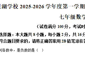 江苏省苏州市苏州工业园区星湖学校2025-2026学年七年级上学期12月随堂练习数学卷（含解析）