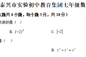江苏省泰州市泰兴市实验初中教育集团澄江分校2025-2026学年七年级上学期12月月考数学试题（含解析）