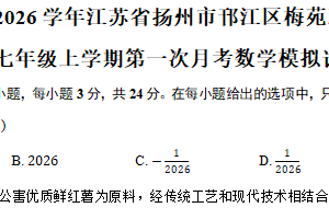 江苏省扬州市邗江区梅苑双语学校2025-2026学年七年级上学期第一次月考数学模拟试卷（含解析）