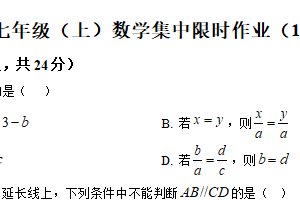 江苏省扬州市京华梅岭中学2025-2026学年上学期七年级数学1月月考试卷（限时作业(11) ）（含解析）