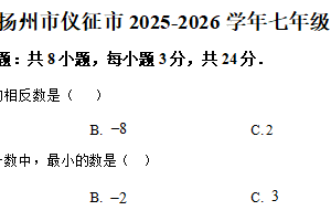 江苏省扬州市仪征市2025-2026学年七年级上学期10月练习数学试题（含解析）