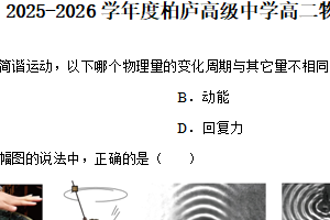 江苏省苏州市昆山市柏庐高级中学2025-2026学年高二上学期12月月考物理试卷（含解析）