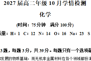 江苏省南京市第十三中学2025-2026学年高二上学期10月学情检化学试题（含解析）