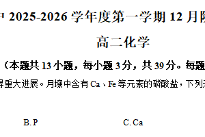 江苏省南京市第一中学2025-2026学年高二上学期12月月考化学试题（含解析）