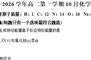 江苏省苏州市新区实验中学科技城校区2025-2026学年高二上学期10月月考化学试题（含解析）