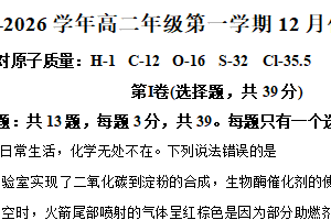 江苏省苏州市新区实验中学科技城校区2025-2026学年高二上学期12月月考化学试题（含解析）