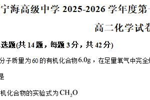 江苏省徐州市睢宁县宁海高级中学2025-2026学年高二上学期10月月考 化学试题（含解析）