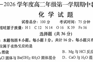 江苏省南通市如皋市2025-2026学年高二上学期11月期中考试 化学试题（含答案）