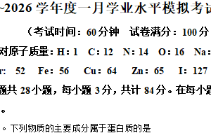 江苏省南京市文枢高级中学2025-2026学年高二上学期学业水平模拟试题考试 化学试题（含解析）