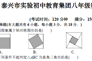 江苏省泰州市泰州泰兴市实验初级中学2025-2026学年八年级数学第一次调研测试（无答案）