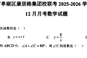 江苏省盐城市亭湖区康居路集团校联考2025-2026学年八年级上学期 12月月考数学试题（无答案）