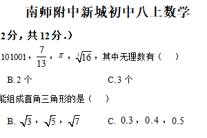 江苏省南京师范大学附属中学新城初级中学2025-2026学年上学期八年级数学一月半月考试卷（含解析）