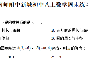江苏省南京师范大学附属中学新城初级中学2025-2026学年上学期八年级数学11月月考试卷（含解析）