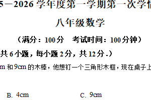 江苏省南京市东山外国语学校2025－2026学年八年级上学期第一次月考数学试题（含解析）