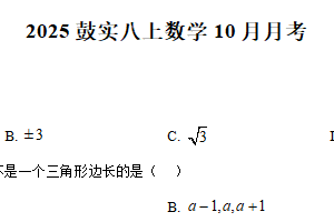 江苏省南京市鼓楼实验中学2025-2026学年八年级上学期10月月考数学试卷（含解析）