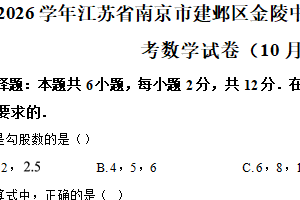 江苏省南京市金陵河西学校2025-2026学年八年级上学期月考数学试卷（10月份）（含解析）