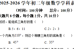 江苏省南京市联合体2025－2026学年上学期八年级数学学科素养练习（含解析）