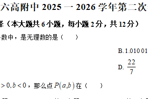 江苏省南京市六合高级中学附属初级中学2025-2026学年上学期八年级 数学1月月考试题（含解析）