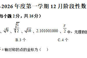 江苏省南京市南外仙林外国语2025-2026学年上学期12月月考八年级数学试题（含解析）