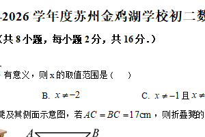江苏省苏州市苏州园区金鸡湖学校2025-2026学年八年级你上学期10月随堂练习数学试题（含解析）