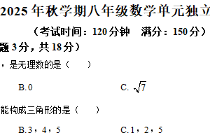 江苏省泰州市泰州中学附属初级中学2025-2026学年八年级上学期第一次月考数学试卷（含解析）