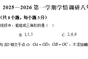 江苏省徐州市沛县实验学校联盟学区2025-2026学年八年级上学期10月月考数学试题（含解析）
