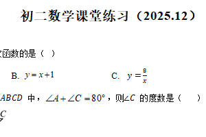 江苏省盐城市亭湖区康居路集团校联考2025-2026学年八年级上学期12月月考数学试题（含解析）