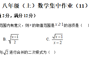 江苏省扬州市京华梅岭中学2025-2026学年上学期八年级数学1月月考试卷（限时作业(11) ）（含解析）
