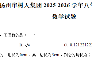江苏省扬州市树人集团2025-2026学年八年级上学期10月月考数学试题（含解析）