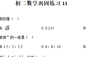 江苏省扬州市树人集团2025-2026学年八年级上学期12月月考数学试题（含解析）