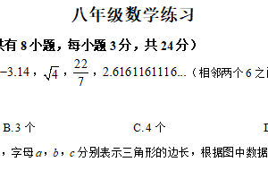 江苏省扬州市仪征市实验中学2025–2026学年八年级上学期第一次月考数学试卷（含解析）