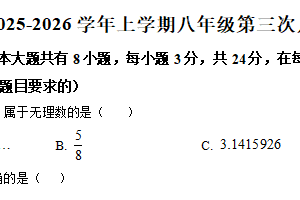 江苏省扬州市仪征市实验中学2025-2026学年上学期八年级第三次月度数学练习（含解析）