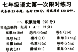 江苏省镇江市句容市2025-2026学年七年级上学期语文月考练习（无答案）