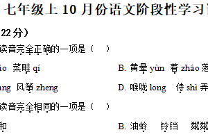 江苏省镇江市丹徒区宜城中学集团五校2025-2026学年七年级上学期10月月考语文试题（含解析）