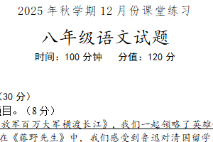 江苏省盐城市盐都区2025-2026学年八年级上学期12月月考语文试题（含答案）
