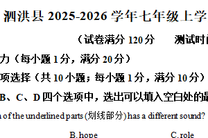 江苏省宿迁市泗洪县2025-2026学年七年级上学期11月阶段英语试题（含解析）