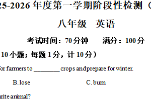江苏省徐州市北区2025-2026学年八年级上学期12月阶段性检测英语试卷（含解析）