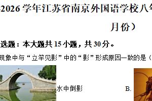 江苏省南京外国语学校2025-2026学年八年级上学期10月月考物理试题（含解析）
