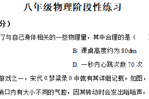 江苏省扬州市仪征市实验中学2025-2026学年八年级上学期1月月考物理试题（含解析）