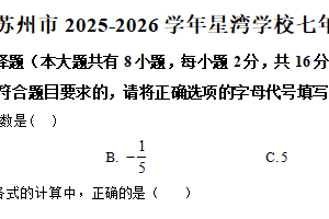 江苏省苏州市 苏州工业园区星湾学校2025-2026学年上学期七年级期中调研数学试卷（含解析）