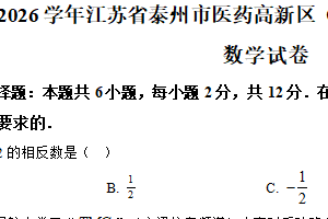 江苏省泰州市医药高新区（高港区）2025-2026学年七年级上学期期中数学试卷（含解析）