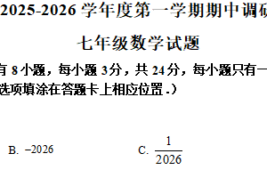 江苏省徐州市沛县2025-2026学年七年级上学期11月期中数学试题（含解析）