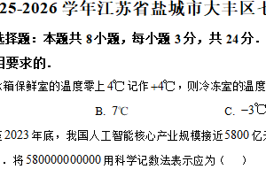 江苏省盐城市大丰区2025-2026学年上学期七年级期中数学试卷（含解析）