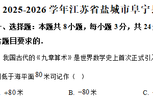 江苏省盐城市阜宁县2025-2026学年七年级上学期期中数学试卷（含解析）