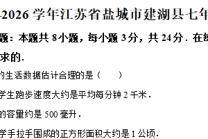 江苏省盐城市建湖县2025-2026学年七年级上学期期中数学试卷（含解析）