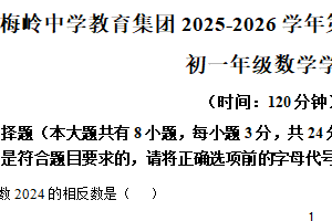 江苏省扬州梅岭中学教育集团2025-2026学年上学期期中考试试卷七年级数学试卷（含解析）