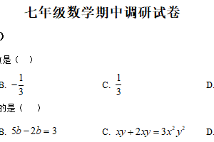 江苏省扬州市高邮市2025-2026学年七年级上学期11月期中数学试题（含解析）