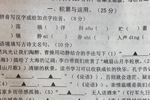 江苏省徐州市徐州经济技术开发区2025-2026学年七年级上学期期中考试语文试题（含答案）